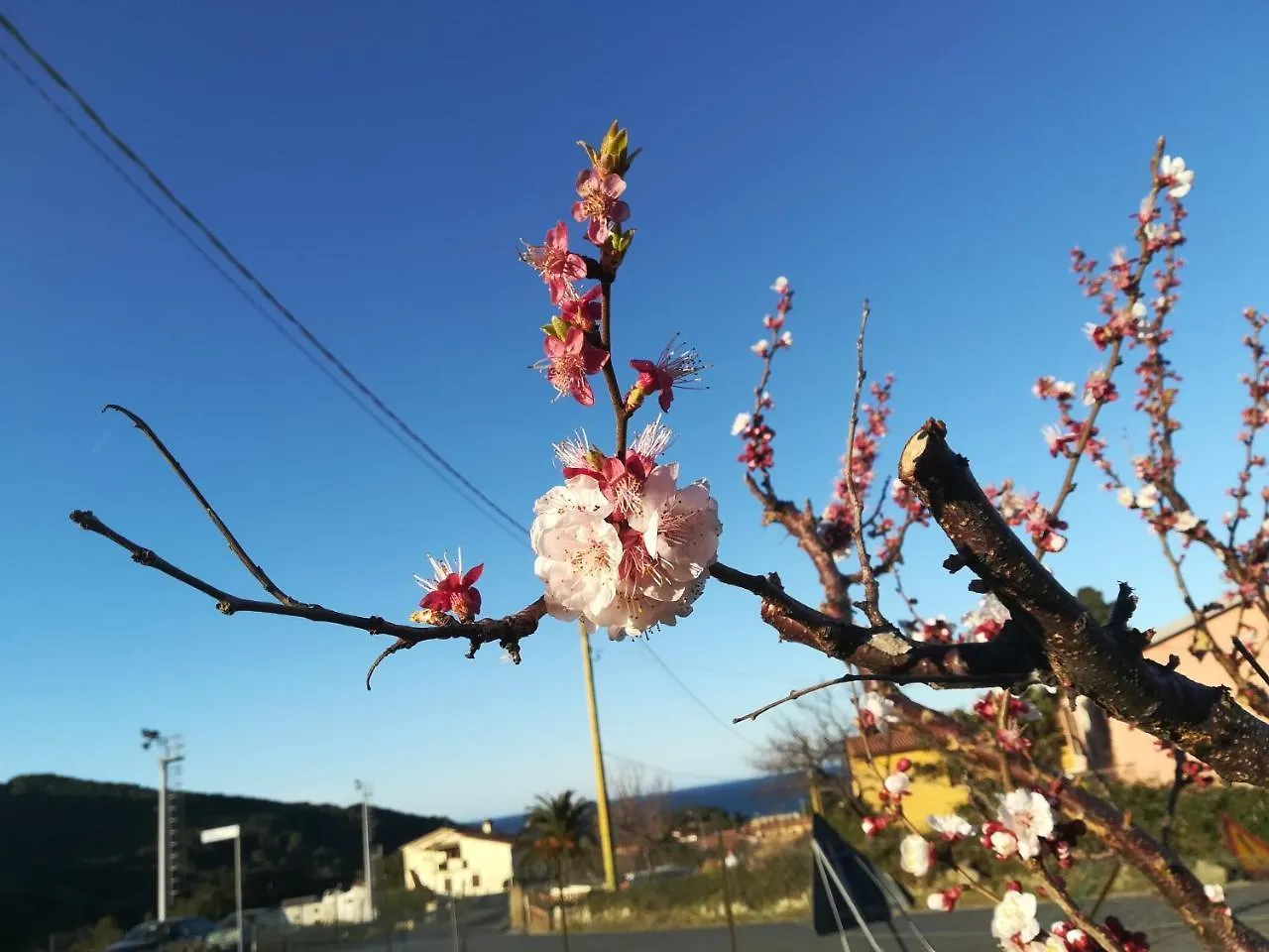 Bed & Breakfast B&B Capo Al Piano Marciana Marina